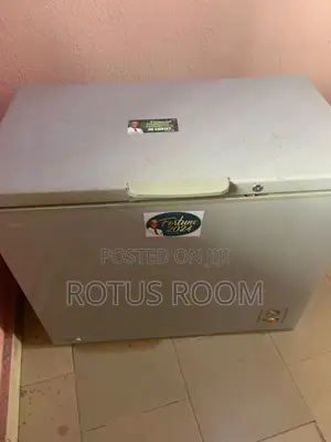 Neatly Used Hisense 250L Chest Freezer
