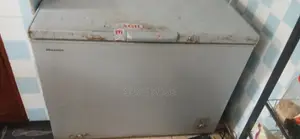 Hisense 300L Deep Freezer