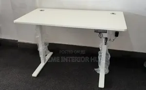 Stylish White Electric Standing Desk