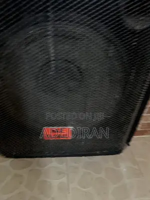 Max Global 15-inch Double Speakers