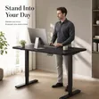 4ft Electric Height Adjustable Standing Desk - 1