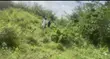Standard Residential Plot for Sale in Iyana Ajia - 1