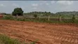 Royal City Estate Land for Sale - 5