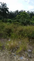 35 Plots Facing Aba-Portharcourt Highway - 3