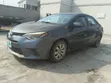 Toyota Corolla 2015 Gray - 4