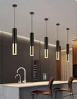 Single Dropping Ceiling Light - Brand New - 4