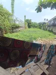 Exclusive Residential Bareland for Sale in Ogudu GRA - 4