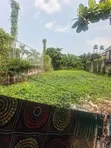 Exclusive Residential Bareland for Sale in Ogudu GRA - 5