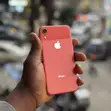 Apple iPhone XR 64GB Orange - 2