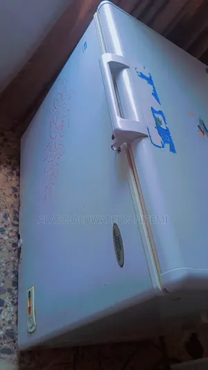 Haier Thermocool 319L Chest Deep Freezer
