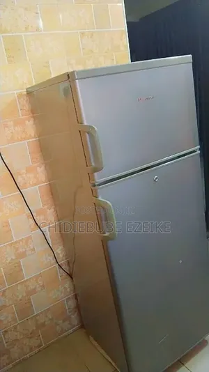 Amfani Hisense Girman Kofa Biyu Firij