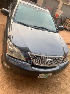 Lexus RX 330 2005 Gray SUV
